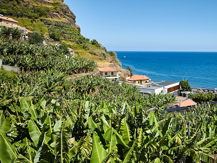 BAM Bananenmuseum und Bananen-Informationszentrum auf Madeira